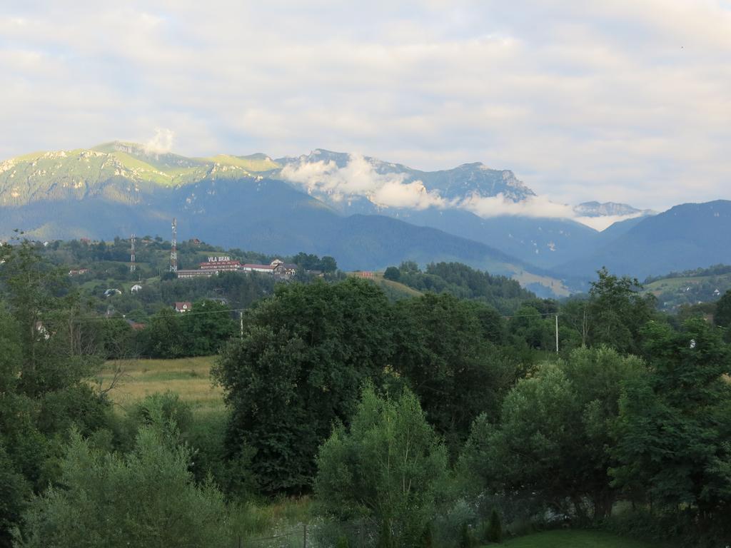 招待所 Pensiunea Casa Gobbel Bran (Brasov)